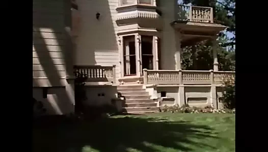 Şehvetli bir gelinin hikayesi (1984, biz, desiree lane, dvd)