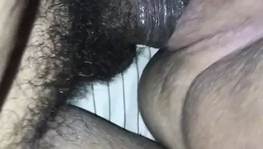 beyaz nine zevk latin horoz