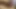 Amcığın yaramaz orta yaşlı seksi kadının içine iki yarak birden giriyor