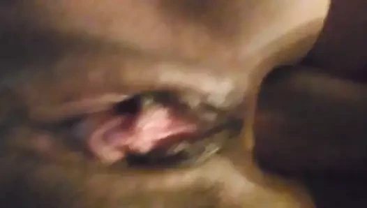 Tıraş kedi, sert anal