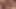 Sevimli latino twinks Başlarken eyersiz ve lokma arasında jizz