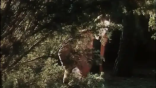 Bir adamla açık havada klasik sikiş ve kütüphanede içeride sikiş