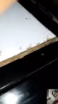 Video Call Par Bhabhi Ko Chudwate Dekha