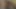 Shadylewds'ın en iyileri derlemesi 18
