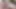 Javhub Japon model fotoğrafçının sikini emiyor