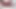 Porkvendors - Nikki Sexx işleri ısıtmadan önce Tim von Swine'i azdırıyor