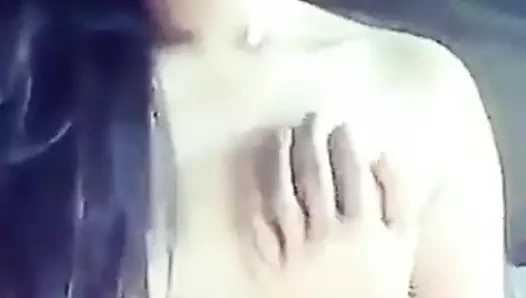 Ateşli Asyalı piliç