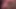 Sofie marie berbat çük ve pov smashing için kedi sunuyor