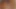 Hayashi Japanese Girl 3D Hentai - Frenulum Licking, Sloppy Blowjob, Deepthroat Cumshot in Uncensored Animation