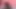Tombul zenci orta yaşlı seksi kadın amına tek başına mastürbasyon yapıyor ...