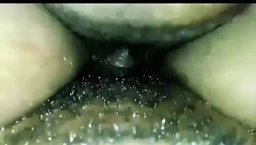 Büyük abanoz fışkırtma