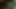 Beyaz civciv berbat siyah çük