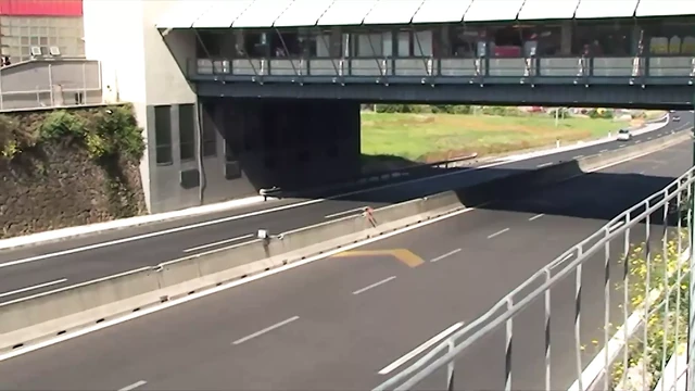 SEMPLICEMENTE PORCHE - (Film Completo)