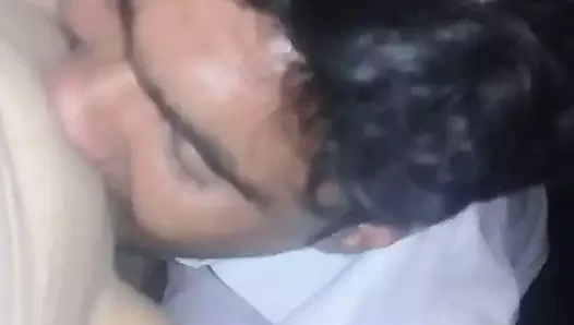 En iyi kedi yalama, kedi yeme