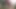 Femboy en küçük bekaret kafesine hapsolmuş anal dildo