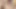 Doggie Style Rough Sex