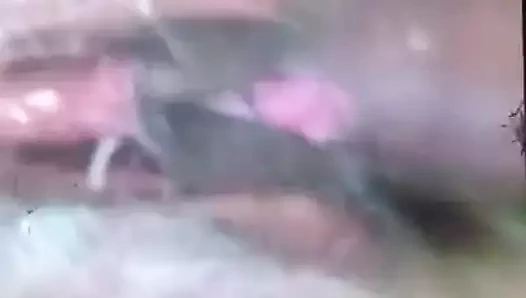 Cep telefonu kayıtları: fışkırtma fışkırtma