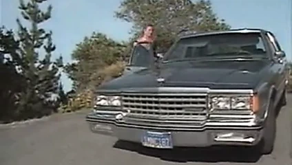 Hizmetçi olmak için doğmuş - 1987