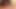 Travesti melda şişman yarağı emiyor