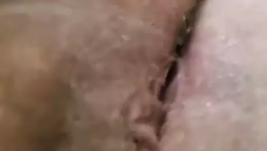 Amcık