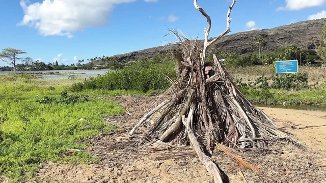 Paiko Fishpond, East Oahu, Hawaii