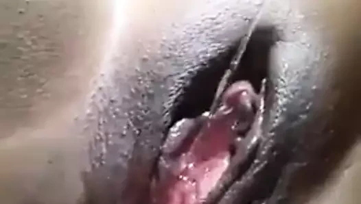 Kedi damlayan itibaren anal seks