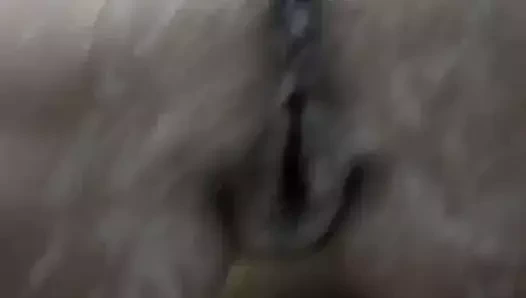 benim karısı ağda kıllı KEDİ