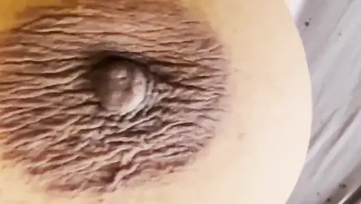 Her erkeğin emmek istediği amcığım