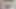Destinationkat ile Shibari