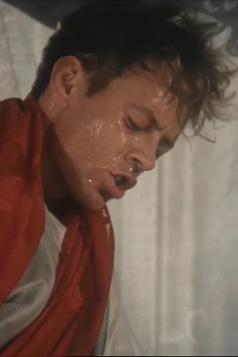 Винтажное зияние, поедание киски и анальный трах на вершине гигантских хуев