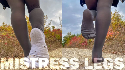 Akşam yalnız ormandaki yol boyunca ayak izlerimi takip et