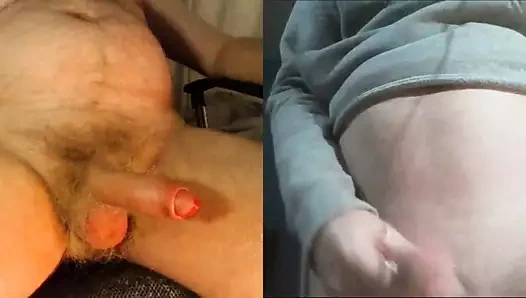 Büyük horoz skype okşayarak.