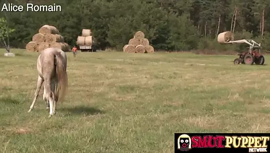 Müstehcen kukla - uygun bir milf oral seks derlemesi