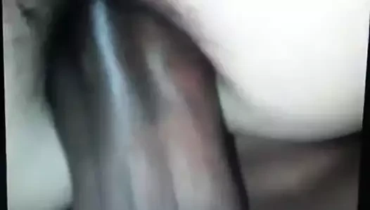 PEGANDO COROA DE QUATRO