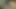 Mrbigonez127 pov sahne arkası pt. 2 (koca filmler)