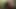 Asyalı web sürtüğü 2. kez yarak emiyor (bölüm 2)