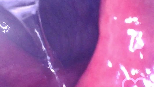 Suyla dolduğunda götünden yüzebilirsiniz - fansly ve manyvids'te tam video