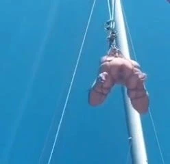 Shibari aşağılama kamu