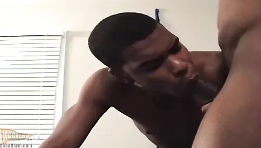 Domino Yıldızı + Jamarion