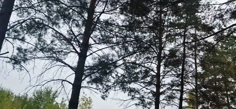 Terk edilmiş bir fabrikada genç bir sikici babasıyla tanıştı ve gelene kadar deliklerini sert sikti