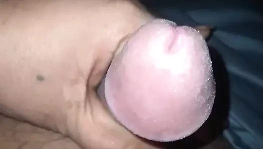 Pooja Bhabhi grabbed the land and sucked it