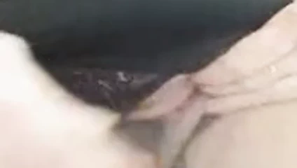 Karım koca bir domuz gibi önümüze işiyor