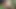 Eurfrat mai'nin seksi oyuncak kedi oturumu