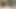 Madison Wilde ve Lola Aiko Tad'ın direğini paylaşıyor