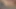 Büyük dildo ve büyük siyah yarak ağzında amcıkta