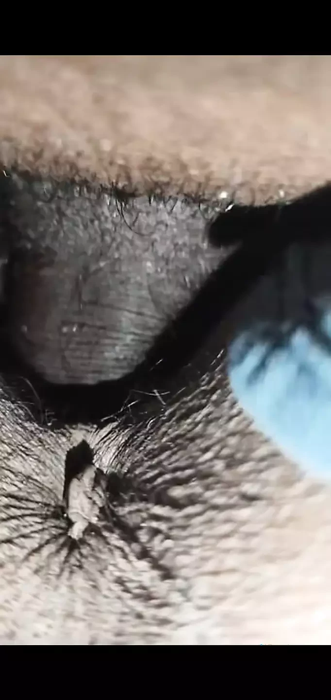 Pussy fucking