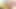 Orta yaşlı seksi kadın büyük bir yarağa bindikten sonra göğüslerine büyük bir boşalma alıyor