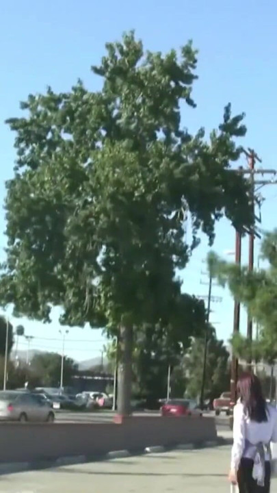 Sıska sürtük ile küçük memeler bir sikme için sokakta aldı | Klip 1