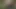 Hile yapan latina gabby quinteros lanet çim adam yakalandı!