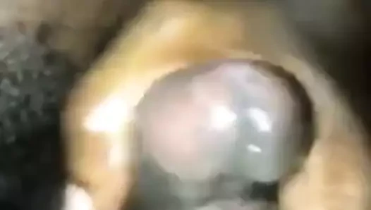 Büyük bir fındık kırmak